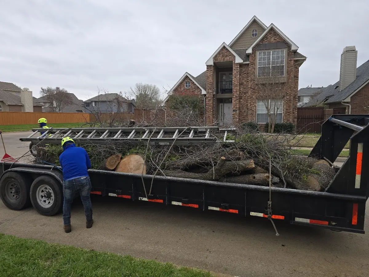 Expert Tree Removal with proper safety equipment in Heflin